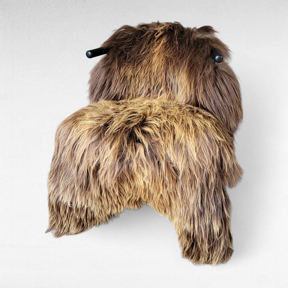 Big Wide Silky Natural Brown Moorit Icelandic Sheepskin 53" x 38"